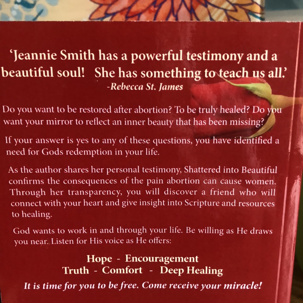 “Shattered Into Beautiful” True Story - Picture 4 of 5